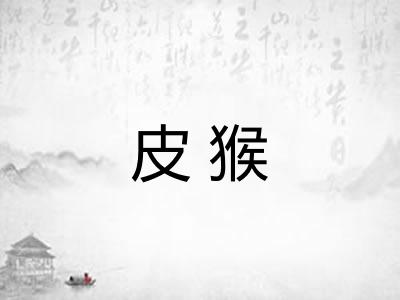 皮猴