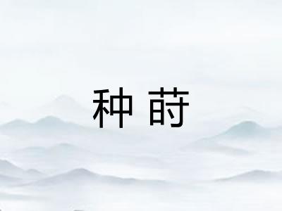 种莳