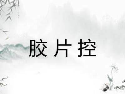 胶片控