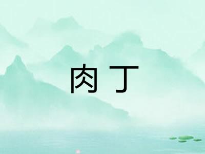 肉丁
