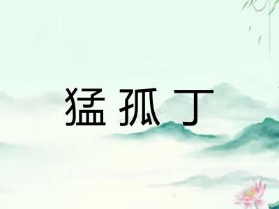 猛孤丁 猛孤丁