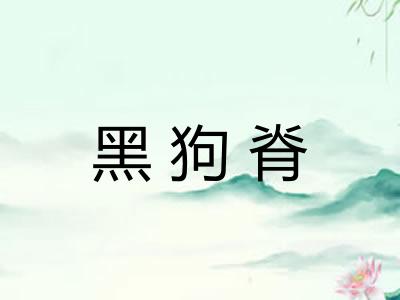 黑狗脊