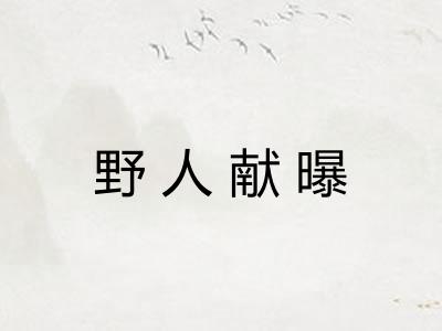 野人献曝 野人献曝