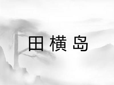 田横岛