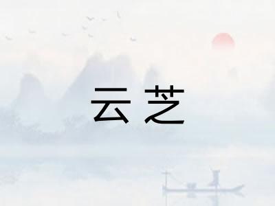 云芝