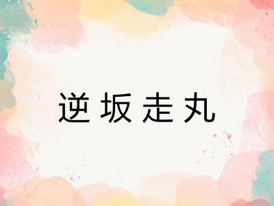 逆坂走丸