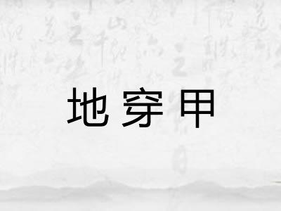 地穿甲 地穿甲