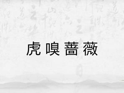 虎嗅蔷薇 虎嗅蔷薇