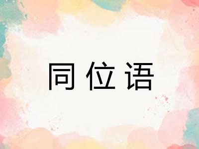 同位语