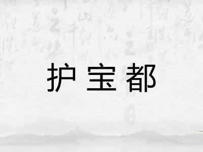 护宝都