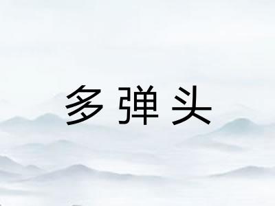 多弹头 多弹头