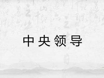 中央领导
