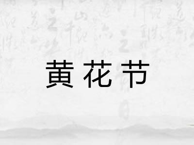 黄花节