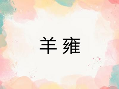 羊雍
