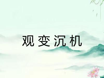 观变沉机