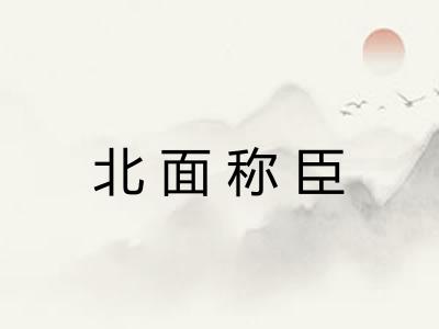 北面称臣 北面称臣