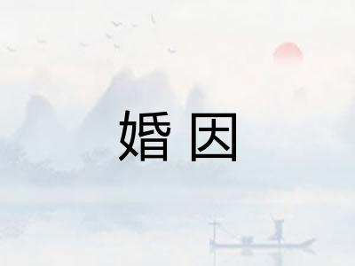 婚因