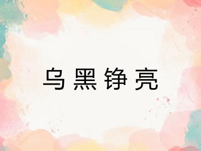 乌黑铮亮 乌黑铮亮