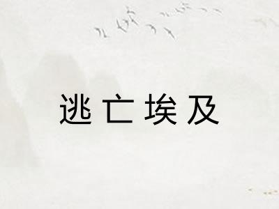 逃亡埃及
