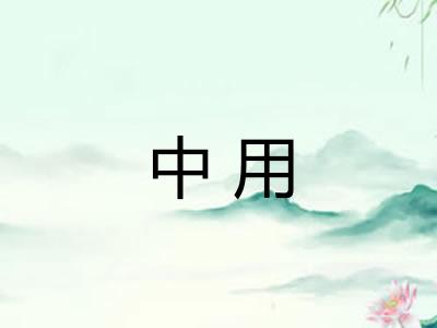 中用 中用