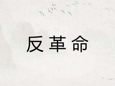 反革命