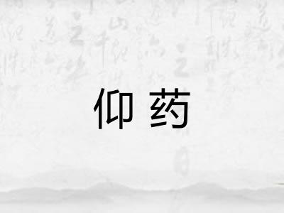 仰药