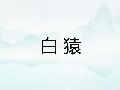 白猿