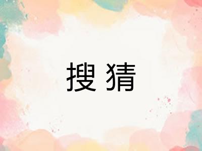 搜猜