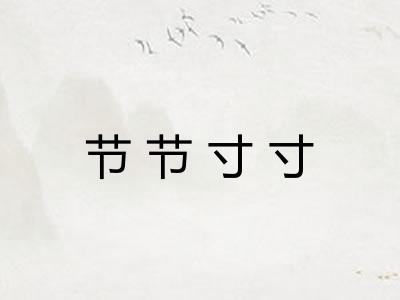 节节寸寸