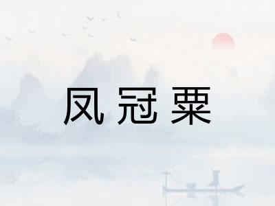 凤冠粟