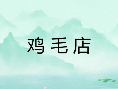 鸡毛店