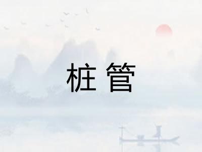 桩管