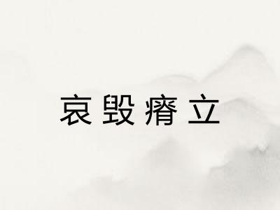 哀毁瘠立