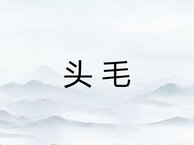 头毛
