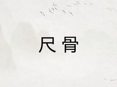 尺骨