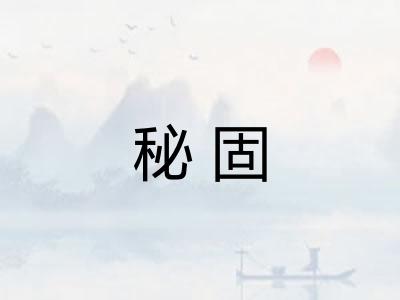 秘固