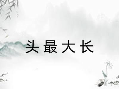 头最大长 头最大长