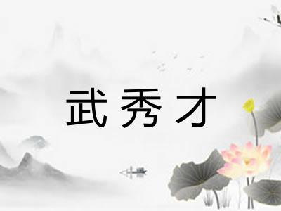 武秀才