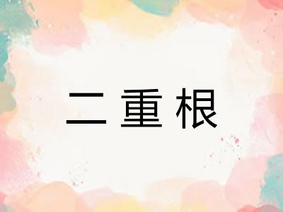 二重根 二重根