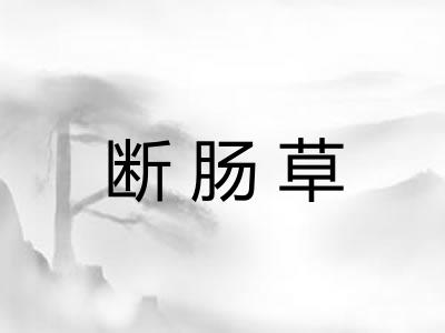 断肠草
