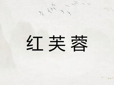 红芙蓉