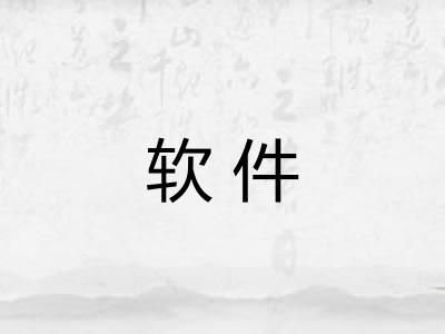 软件