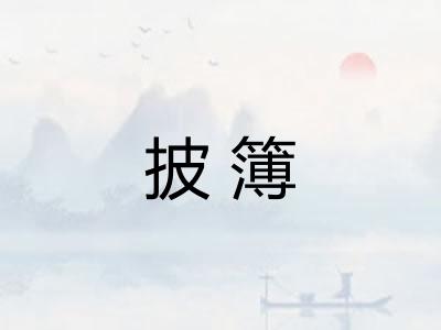 披簿