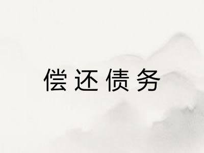 偿还债务