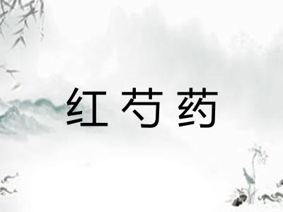 红芍药