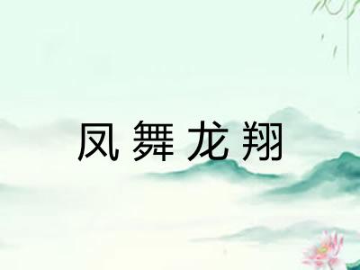 凤舞龙翔