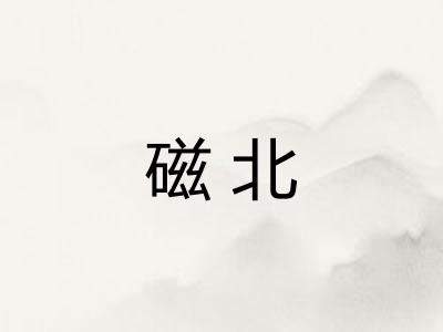 磁北
