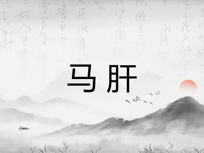 马肝