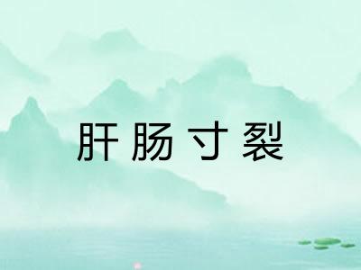 肝肠寸裂 肝肠寸裂