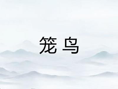 笼鸟